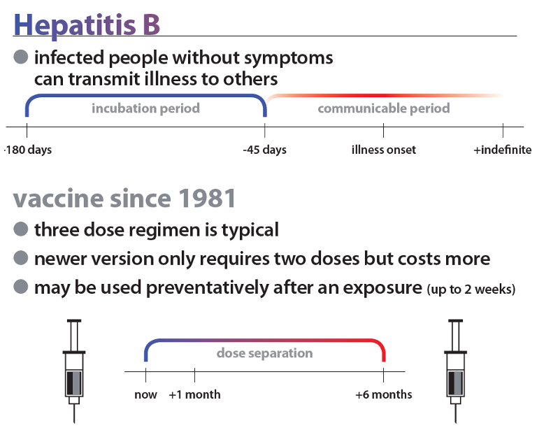 hepatitis-b.jpg