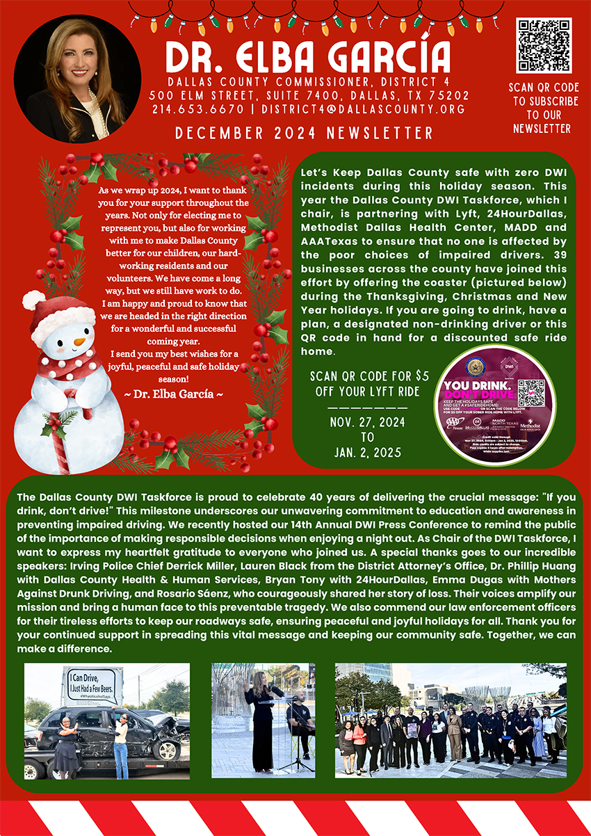 D4 December Newsletter - English Festive red and green newsletter featuring December initiative updates and future goals.