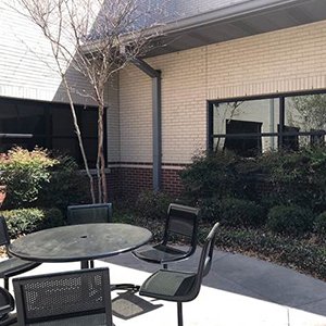 courtyard-bushes.jpg courtyard-bushes.jpg