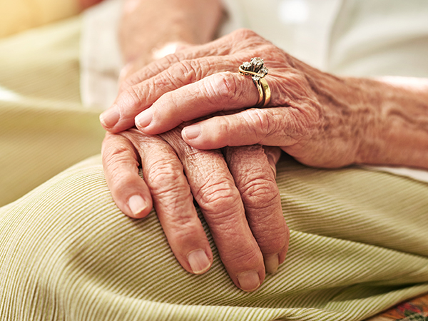 Close up photo of a pair of elderly hands folded on their lap