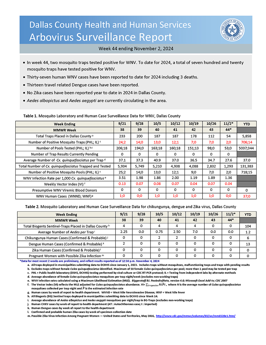 First page of the the weekly report with stats.