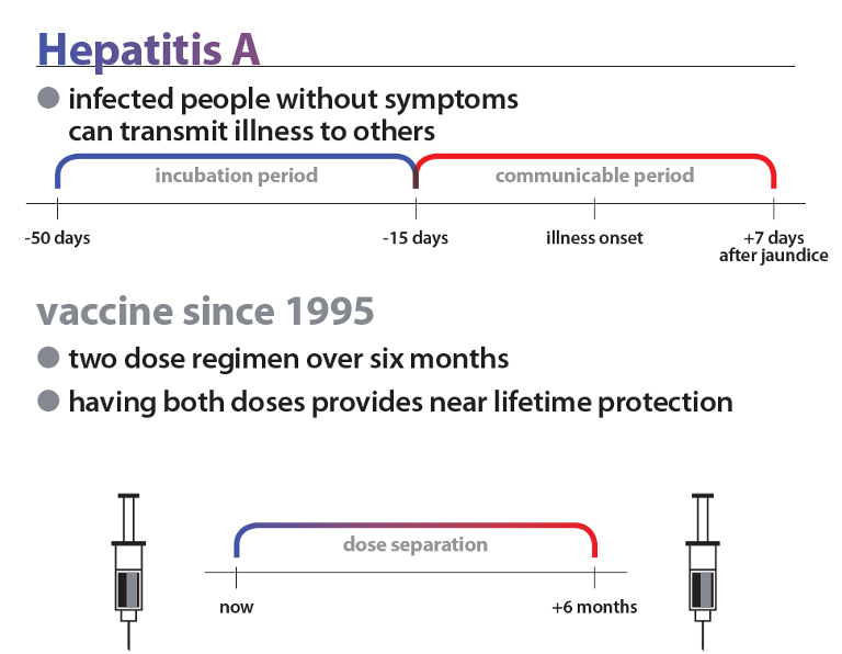 hepatitis-a.jpg