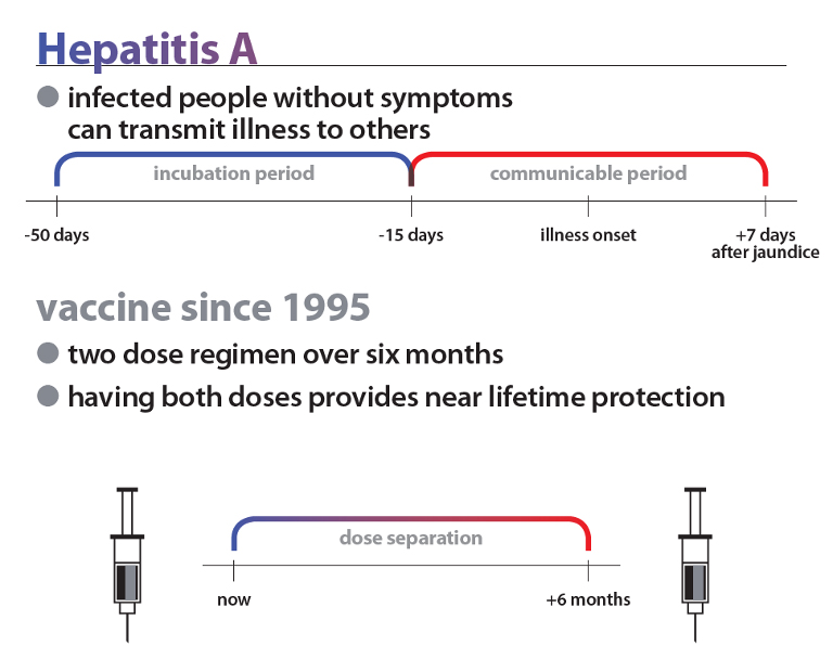 hepatitis-a.jpg hepatitis-a.jpg