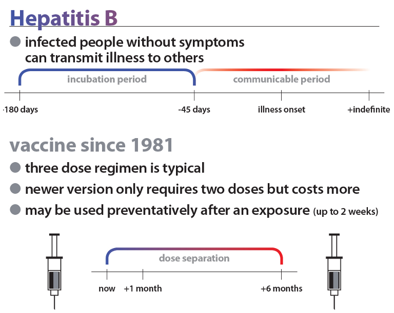 hepatitis-b.jpg hepatitis-b.jpg