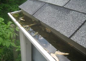 Image of Standing Water in Gutter 