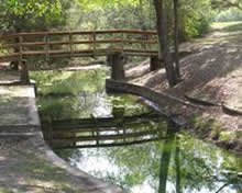 Grapevine Springs