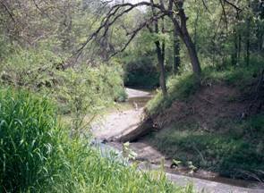 Tenmile Creek Preserve