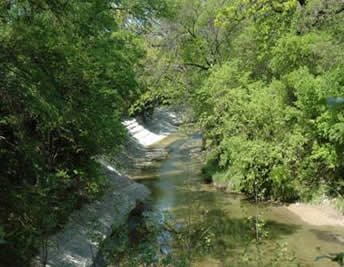 Lee F. Jackson Spring Creek Forest Preserve