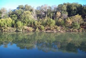 Goat Island Preserve Trinity River Greenbelt