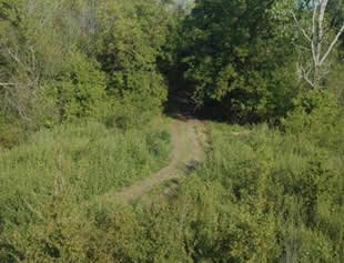 Goat Island Preserve Trinity River Greenbelt