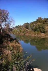 Goat Island Preserve Trinity River Greenbelt