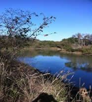 Goat Island Preserve Trinity River Greenbelt