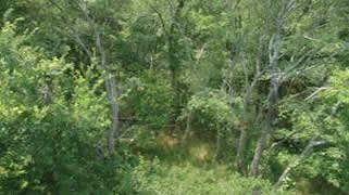 Riverbend Preserve Trinity River Greenbelt