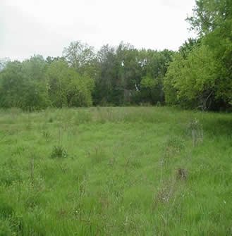 Muddy Creek Preserve