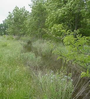 Muddy Creek Preserve