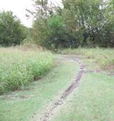 Rowlett Creek Preserve