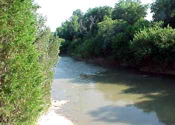 McCommas Bluff Preserve