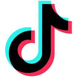 Tik Tok secondary logo