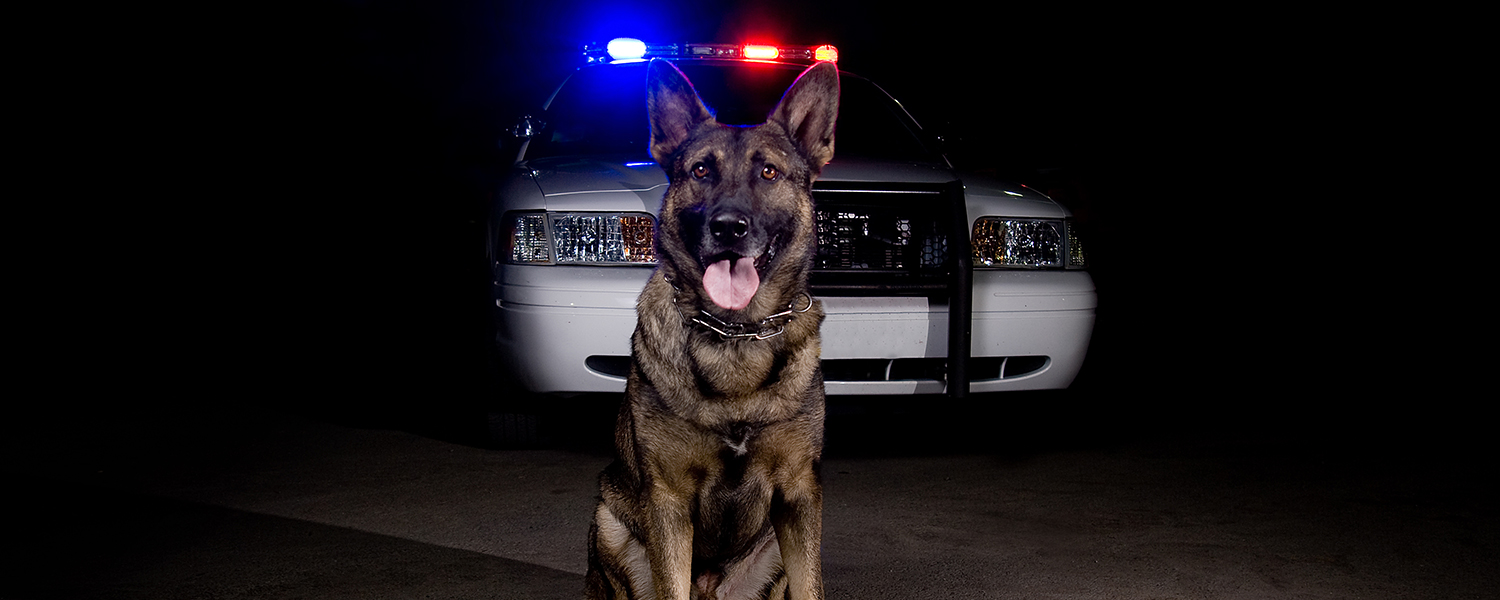 Sheriff Department Dallas County, Texas